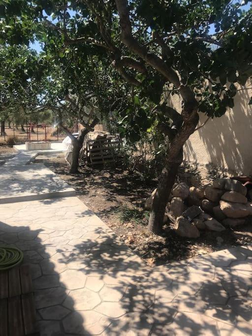Khloi Πέτρινη Κατοικία Στην Αίγινα - Stone House In Aigina מראה חיצוני תמונה